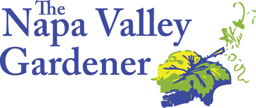 The Napa Valley Gardener